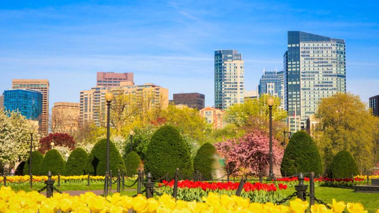 8 Secret Gardens in Boston to Escape the City in 2025