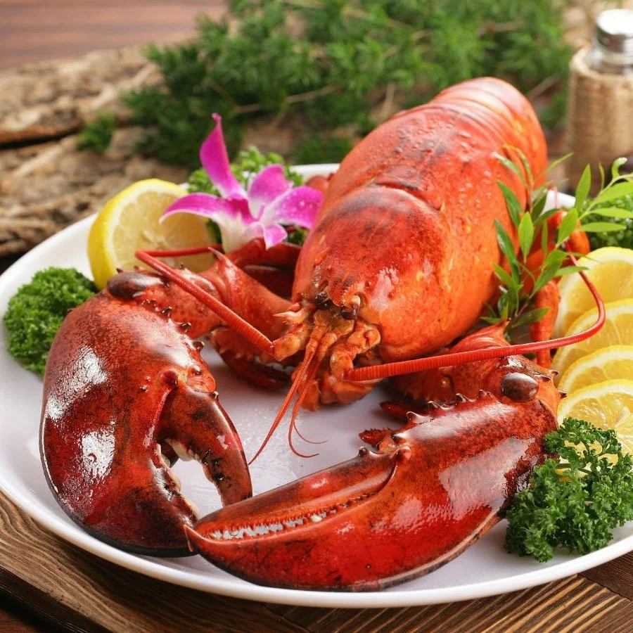 The Ultimate Boston Winter Food Tour: 18 Must-Try Spots in 2026