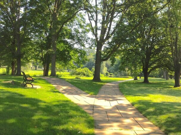 Francis William Bird Park - image from The Trustees website