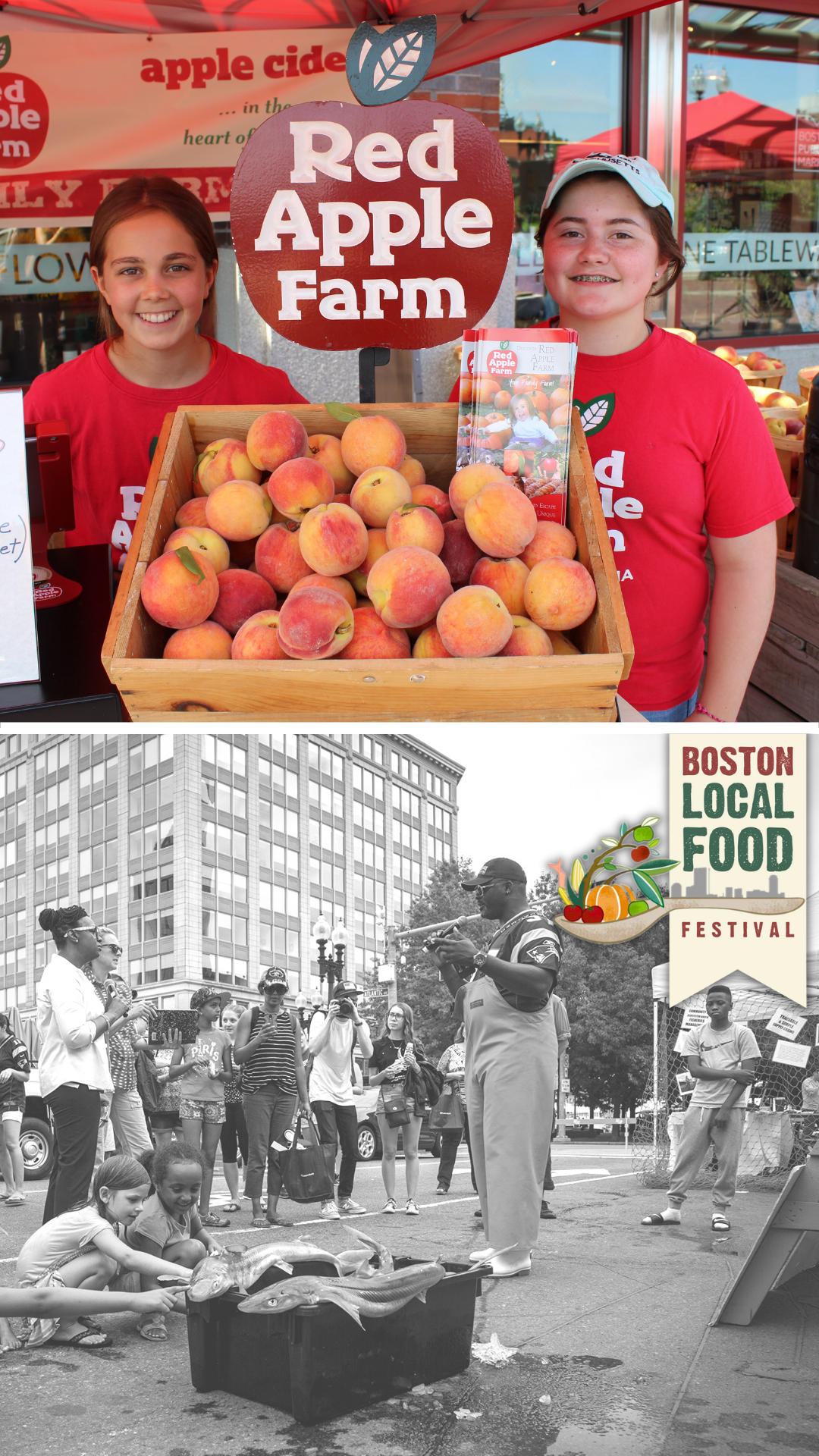 Boston Local Food Festival 2022