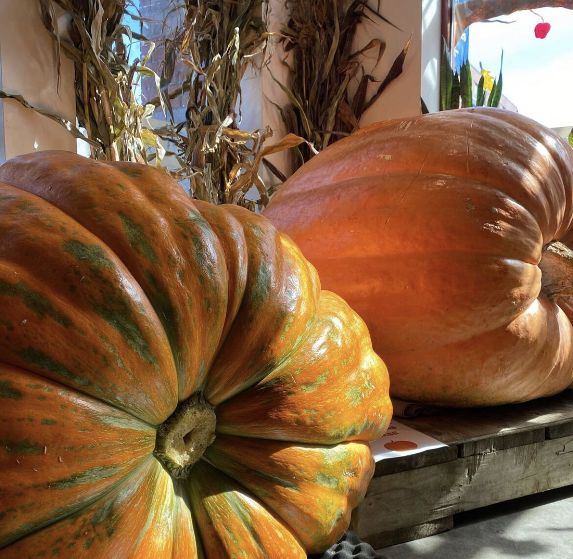 Image from the Boston Public Market’s Instagram