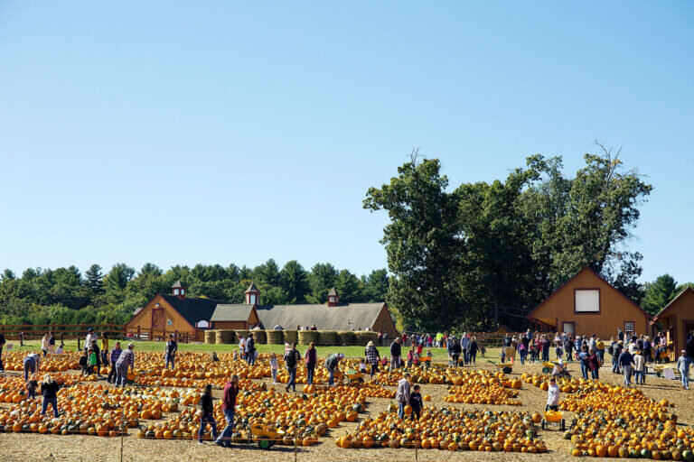 Image from the Parlee Farms’ website