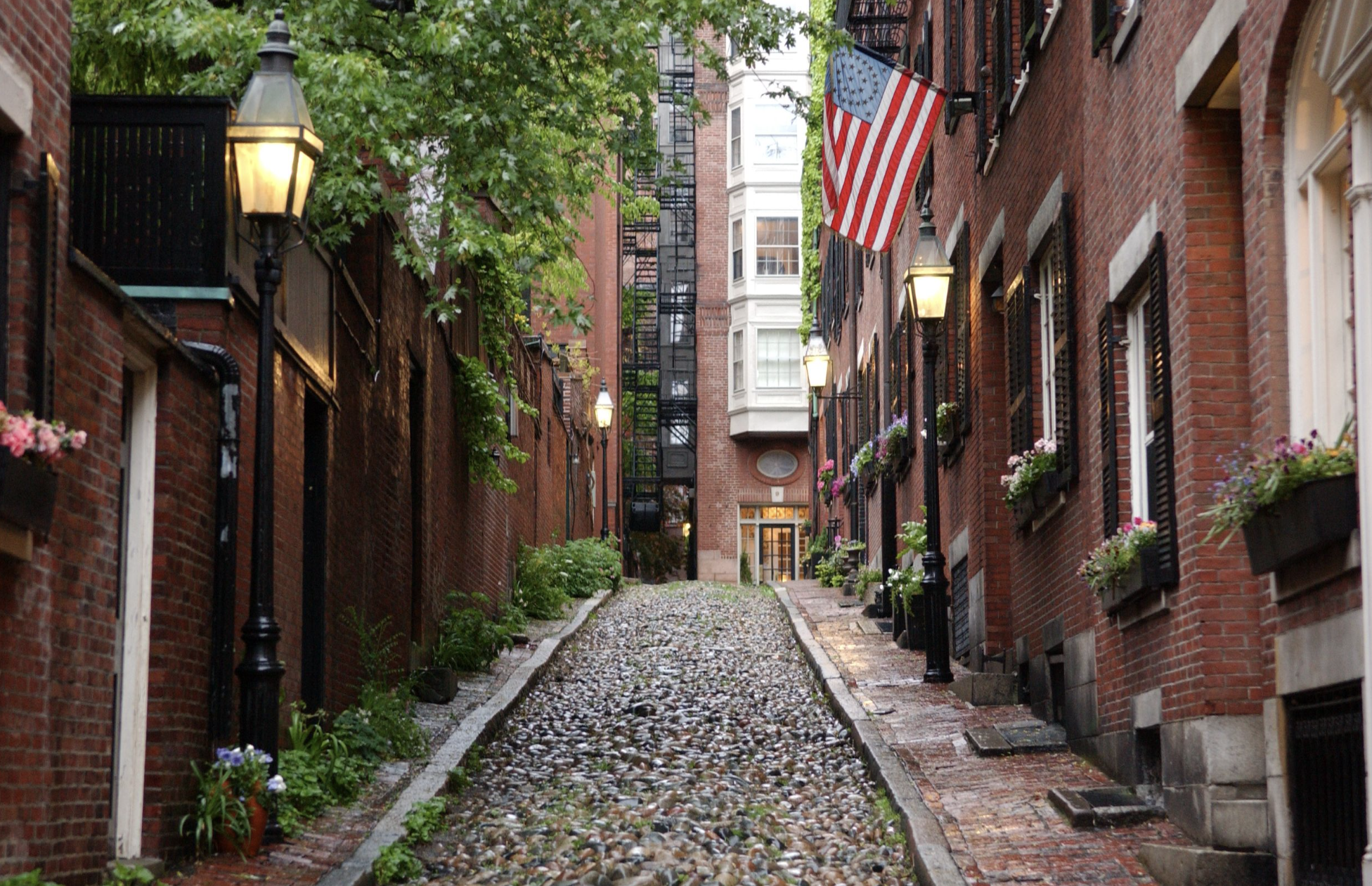   Window boxes on cobblestoned Acorn Street on Beacon Hill  
