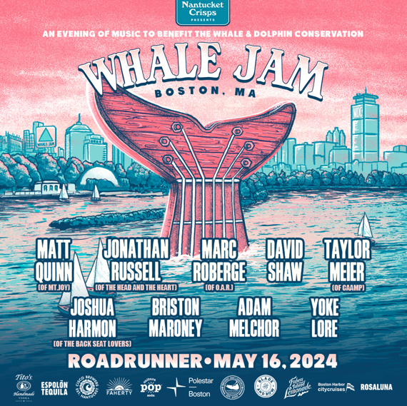 Whale Jam 🐳 🎸 Nantucket Crisps Hosts Star-Studded Concert to Support North Atlantic Right Whales and Ocean Preservation