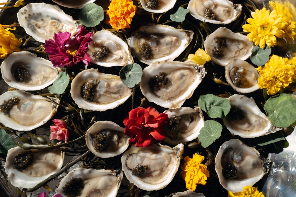 Foxglove Terrace debut draws celebrities, founders, and Boston tastemakers to Allston