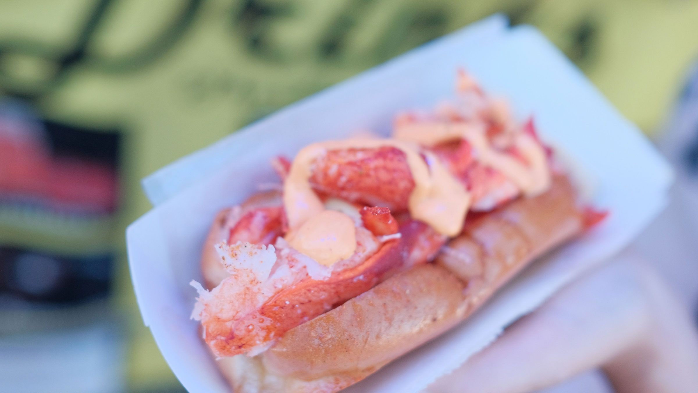 Alive and Kicking Lobsters, seafood in Cambridge