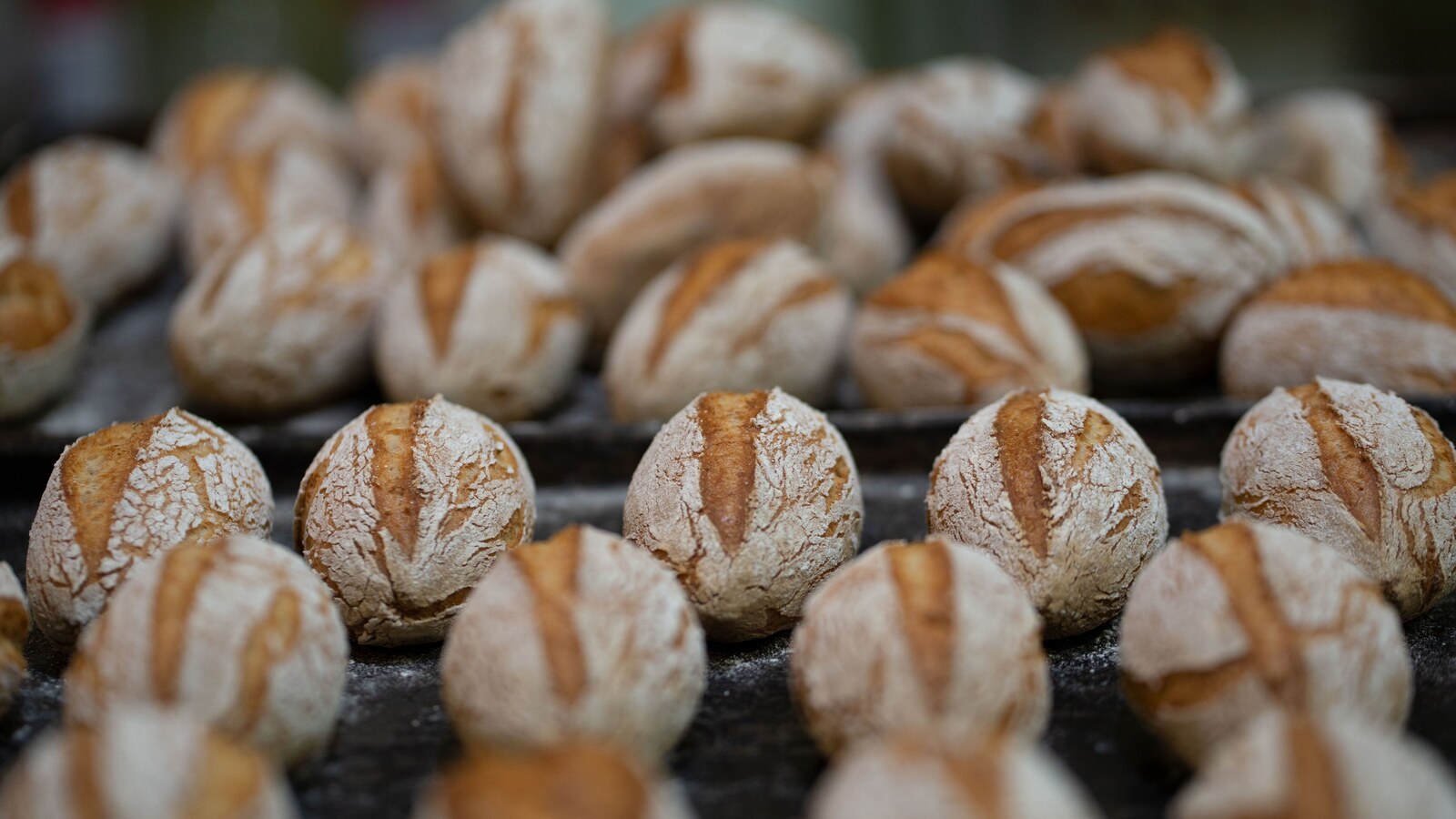 Thinking Cup – North End, bakery in North End