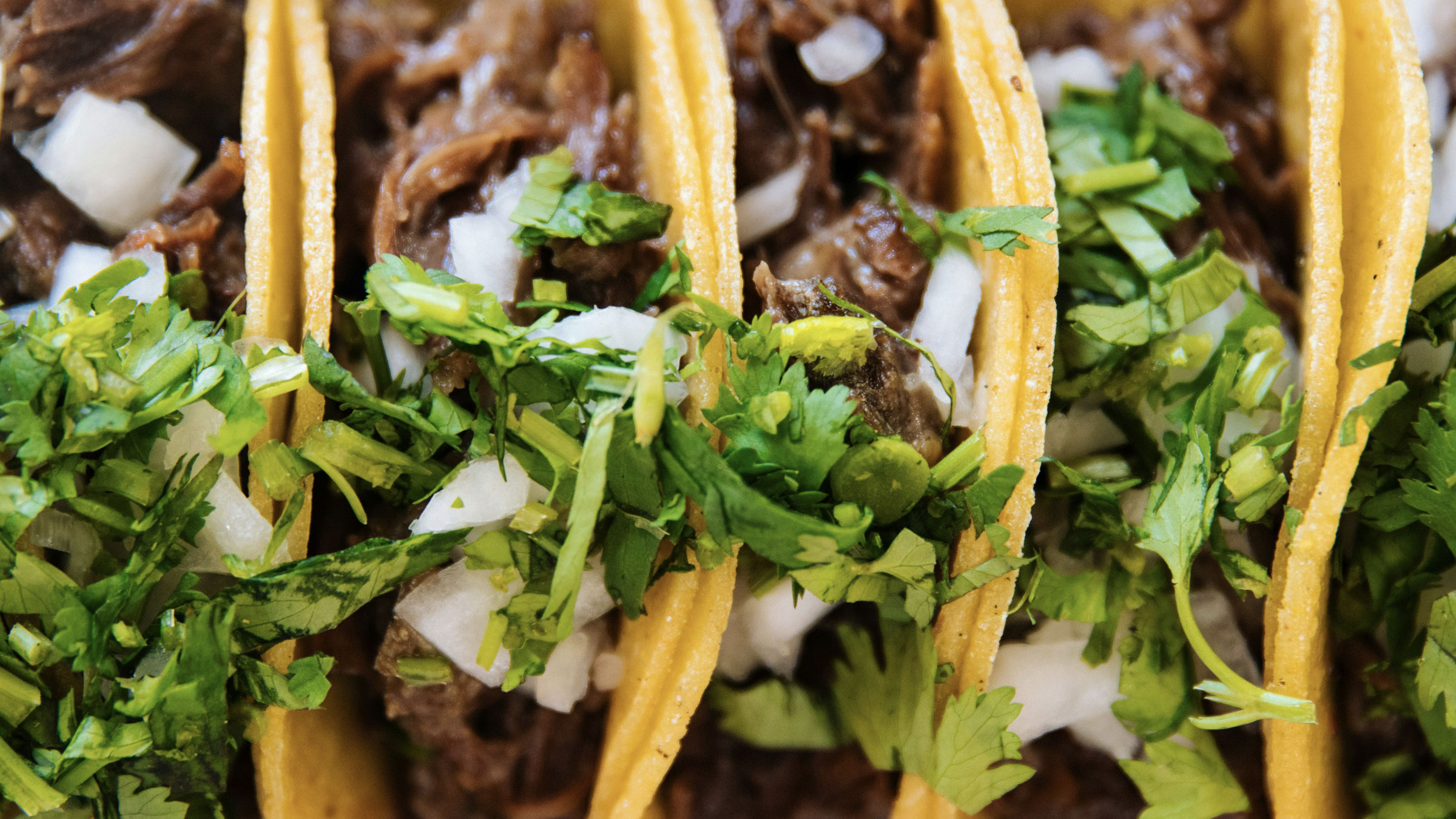 chilacates Brookline, mexican in Brookline
