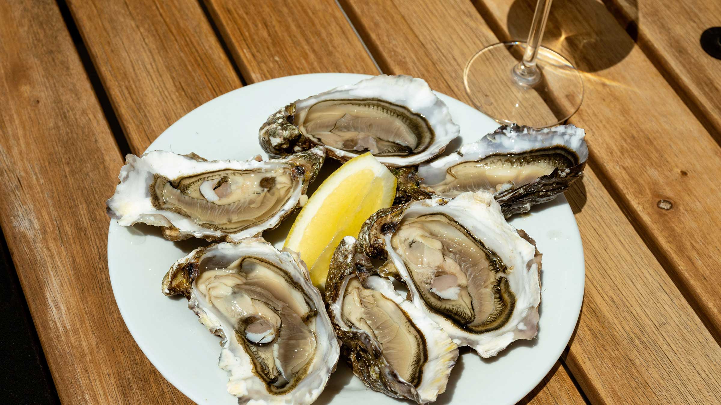 Eventide Fenway, seafood in Fenway