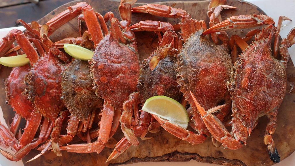Holly Crab Mad For Chicken, chicken in Fenway