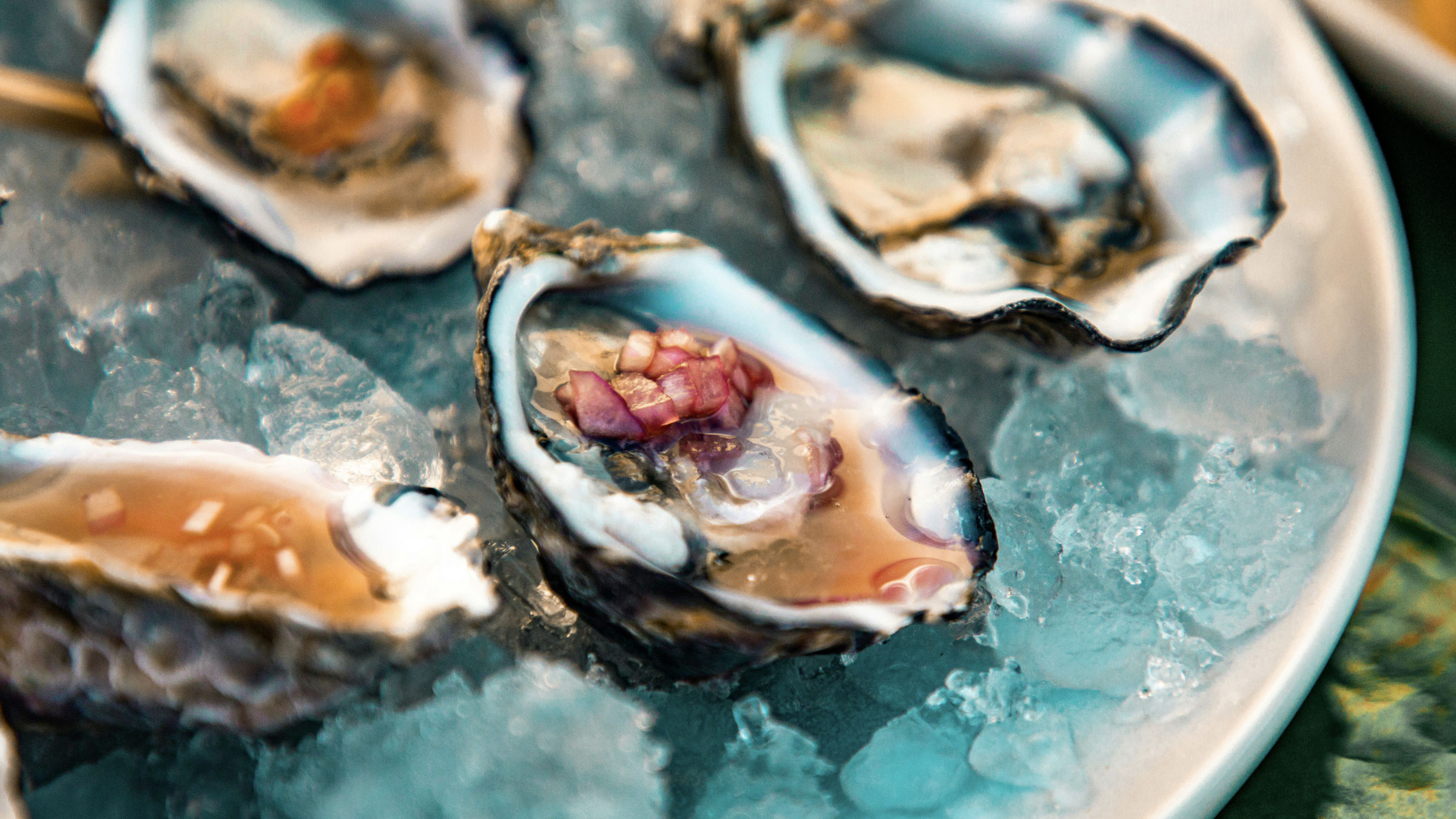 Island Creek, seafood in Seaport