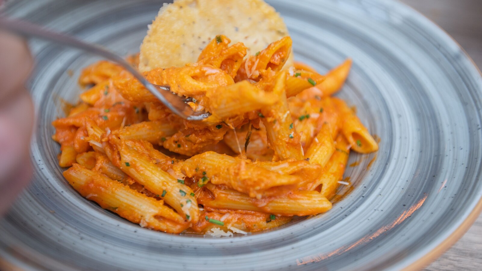 Bar Enza, italian in Harvard Square