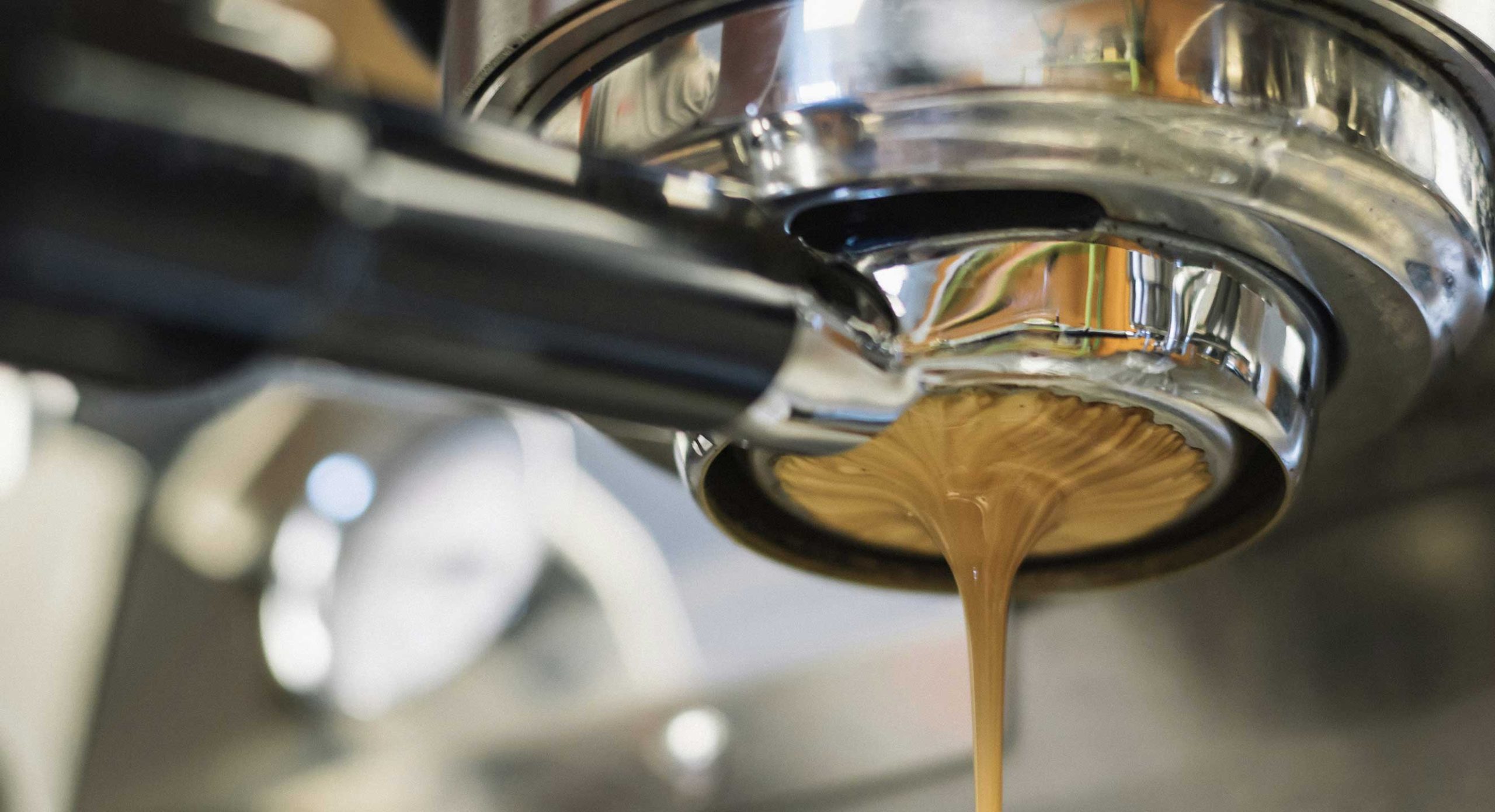 mister Q. cafe, coffee and tea in Charlestown