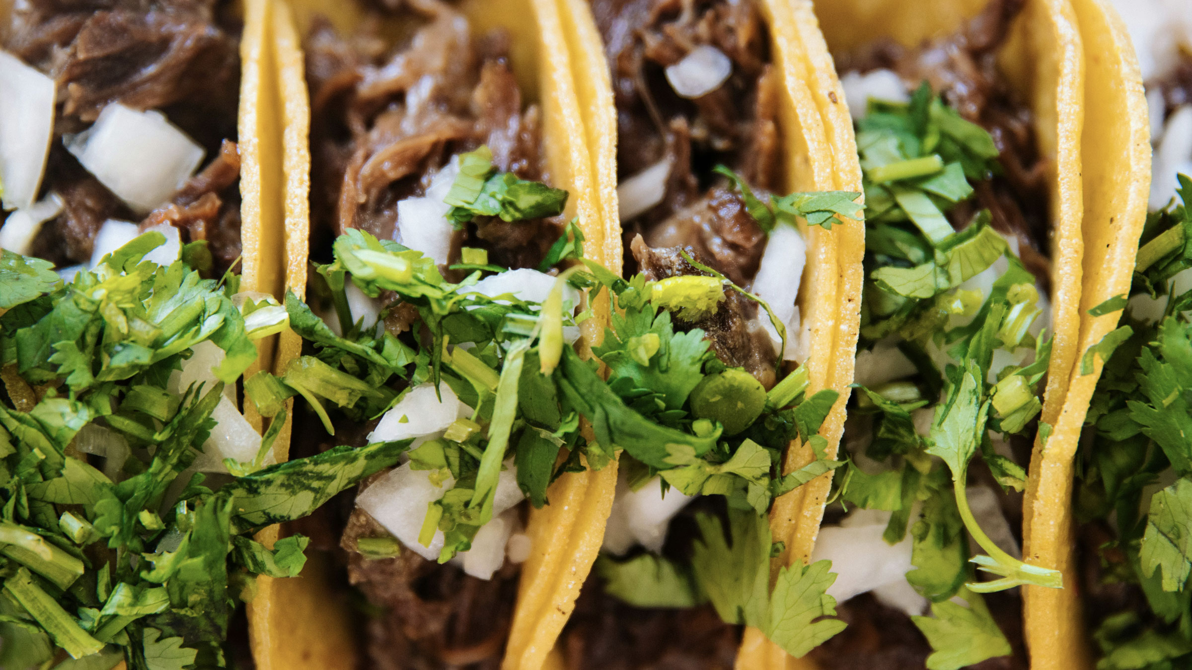 Mr. Tamole, mexican in Downtown