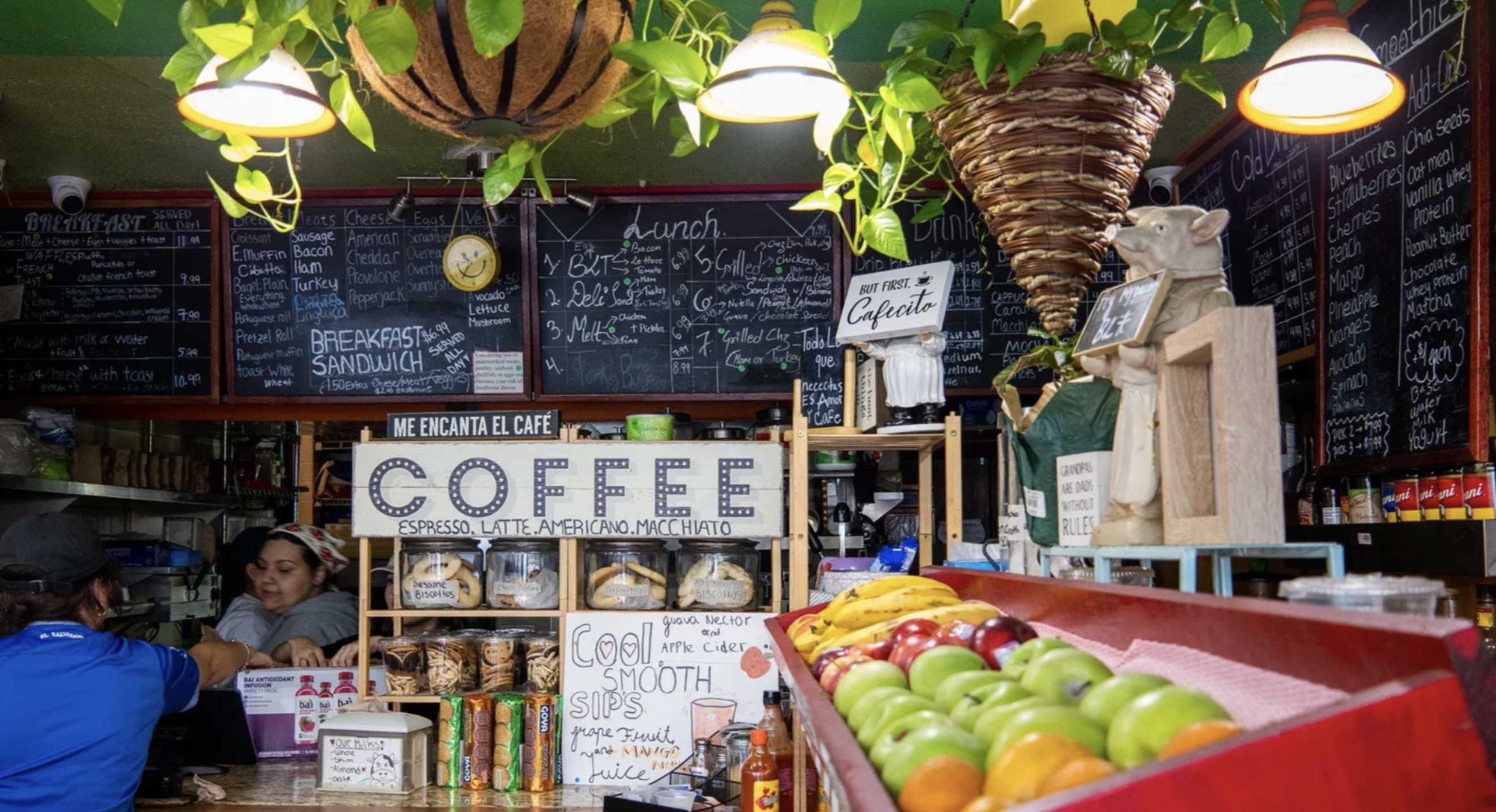 Ola Café, coffee and tea in Somerville