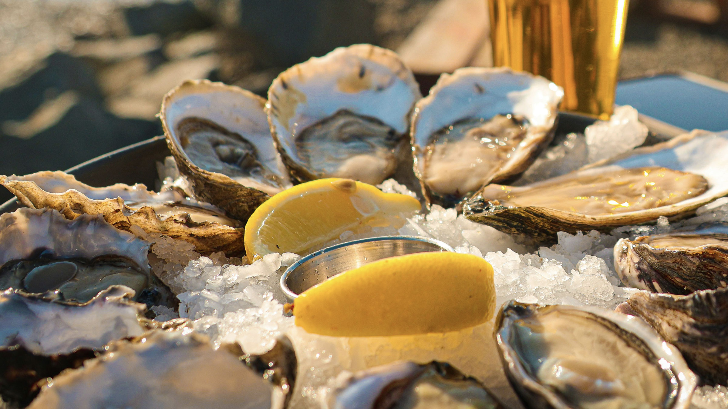 ReelHouse Oyster Bar, seafood in Seaport