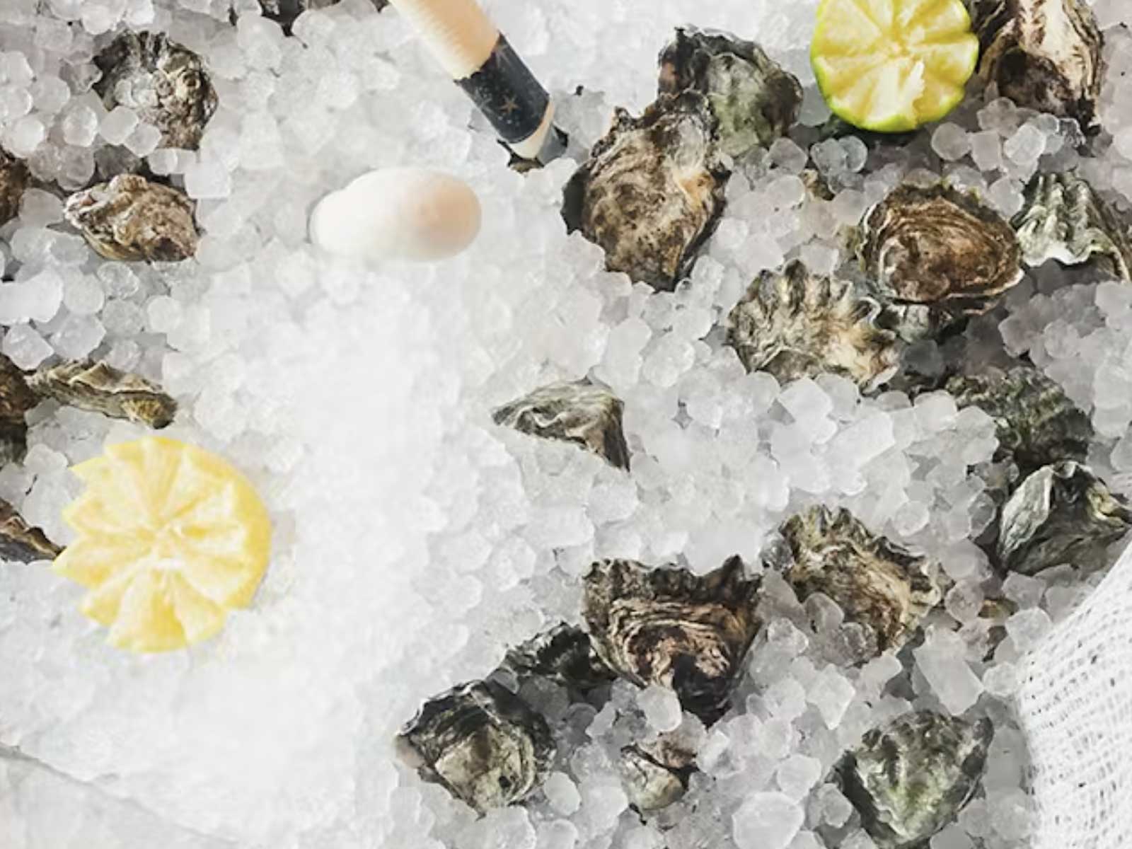 Saltie Girl, seafood in Back Bay