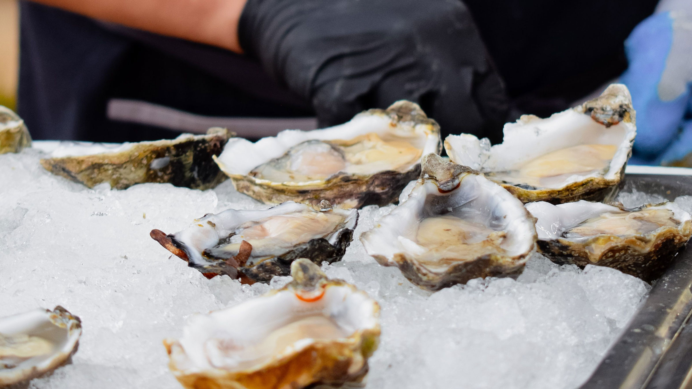 Select Oyster Bar, mediterranean in Back Bay