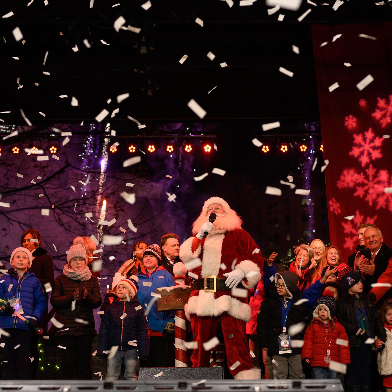 Boston Common Tree Lighting