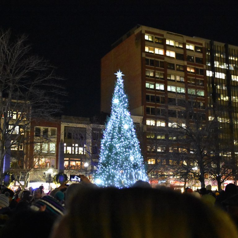 Copley Square Tree Lighting