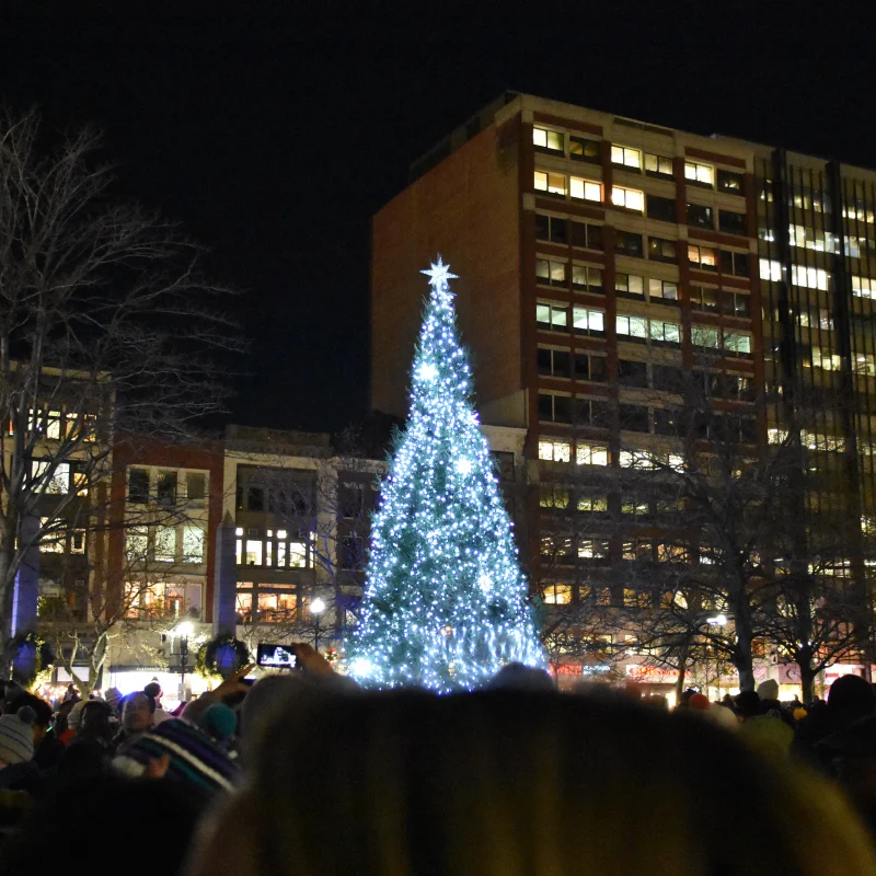 Copley Square Tree Lighting