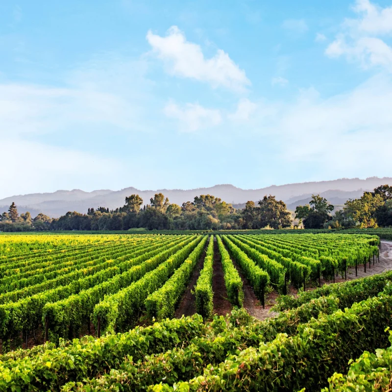 Caymus Wine Dinner