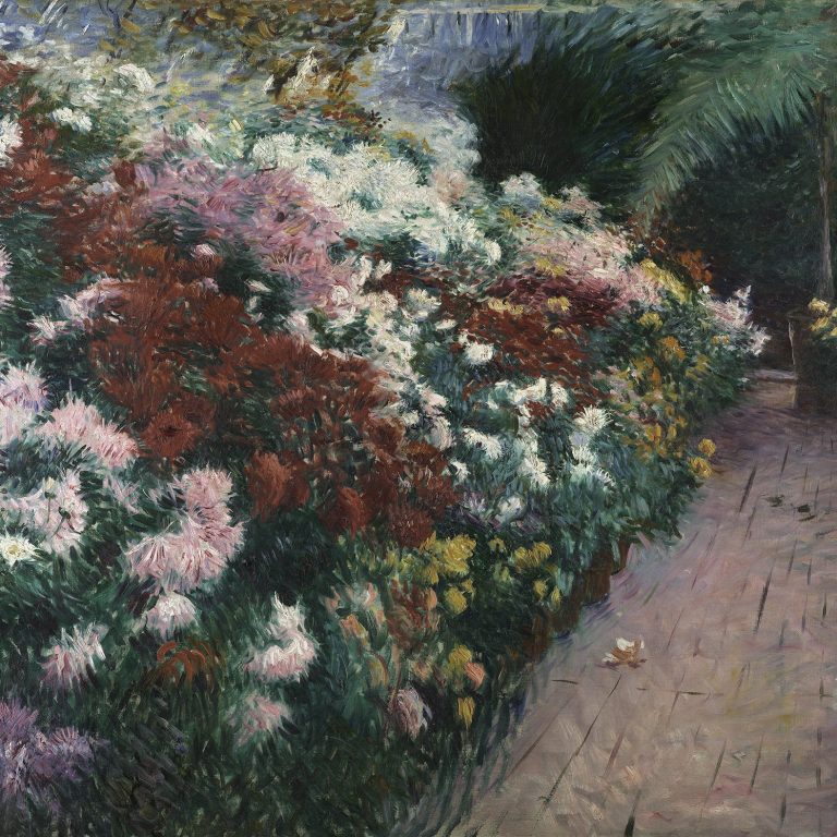 Celebrating Chrysanthemums