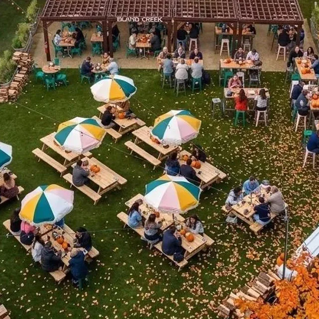 Cityside Pumpkin Patch
