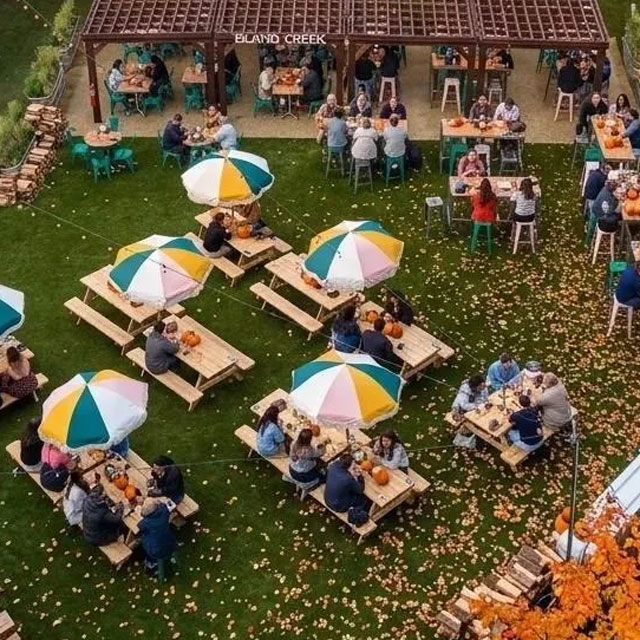 Cityside Pumpkin Patch