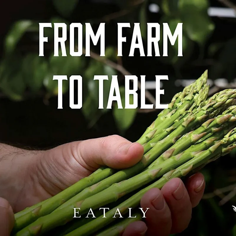 Chef Dinner: From Farm to Table