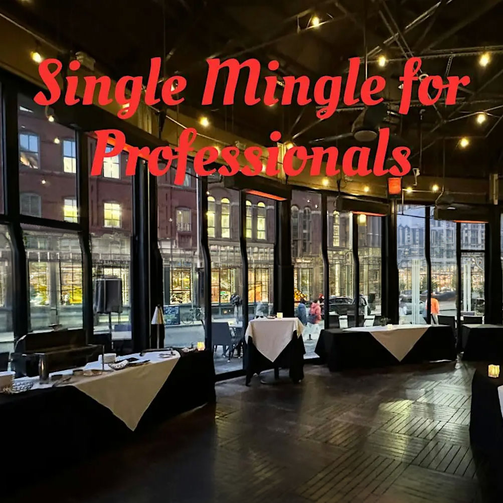Single Mingle for Professionals
