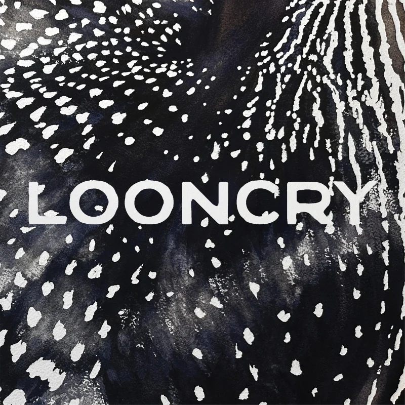 Looncry Album Release