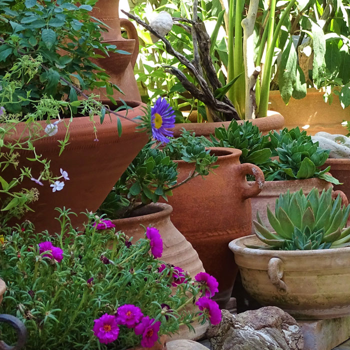 Decorating Terracotta Flower Pots: Bloom and Become